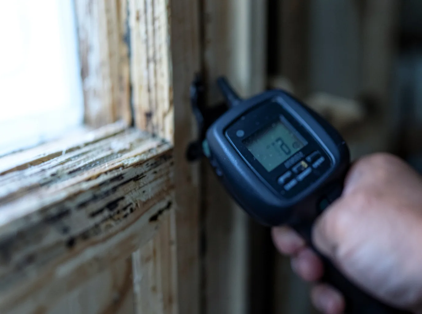 Water Damage Restoration Wesley Chapel, FL FAQs